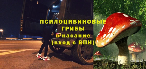 прущая мука Арсеньев