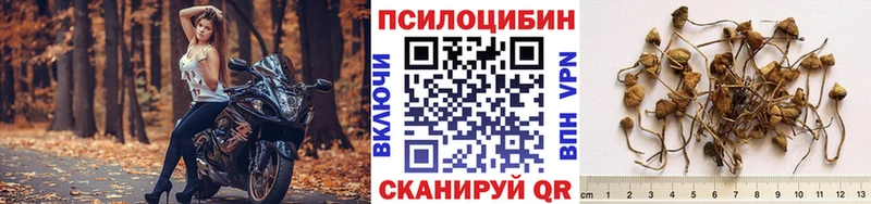 Псилоцибиновые грибы MAGIC MUSHROOMS  где продают   Асбест 